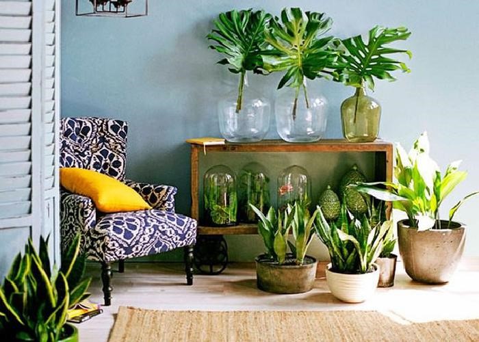 10 Ways to Decorate with Plants! - The Beauty Revival