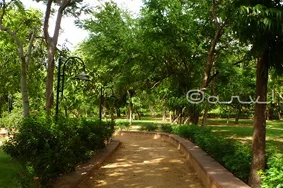 Park