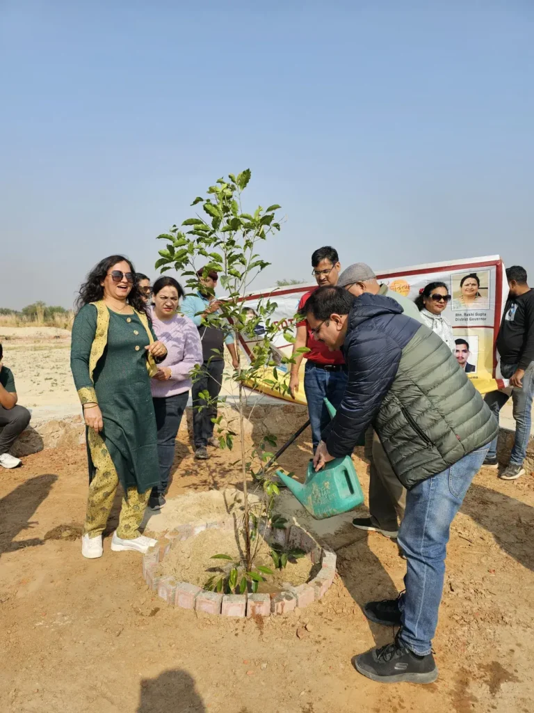 Rotary club plantation drive