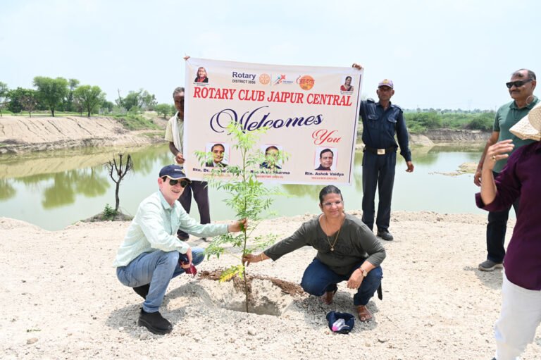 Rotary club plantation drive